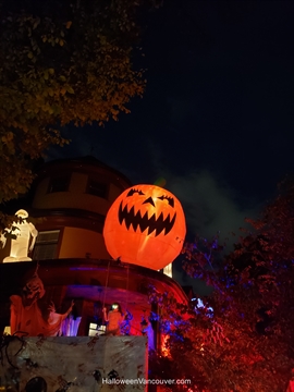 Heritage home decorations set up along the 900 block of Bute Street