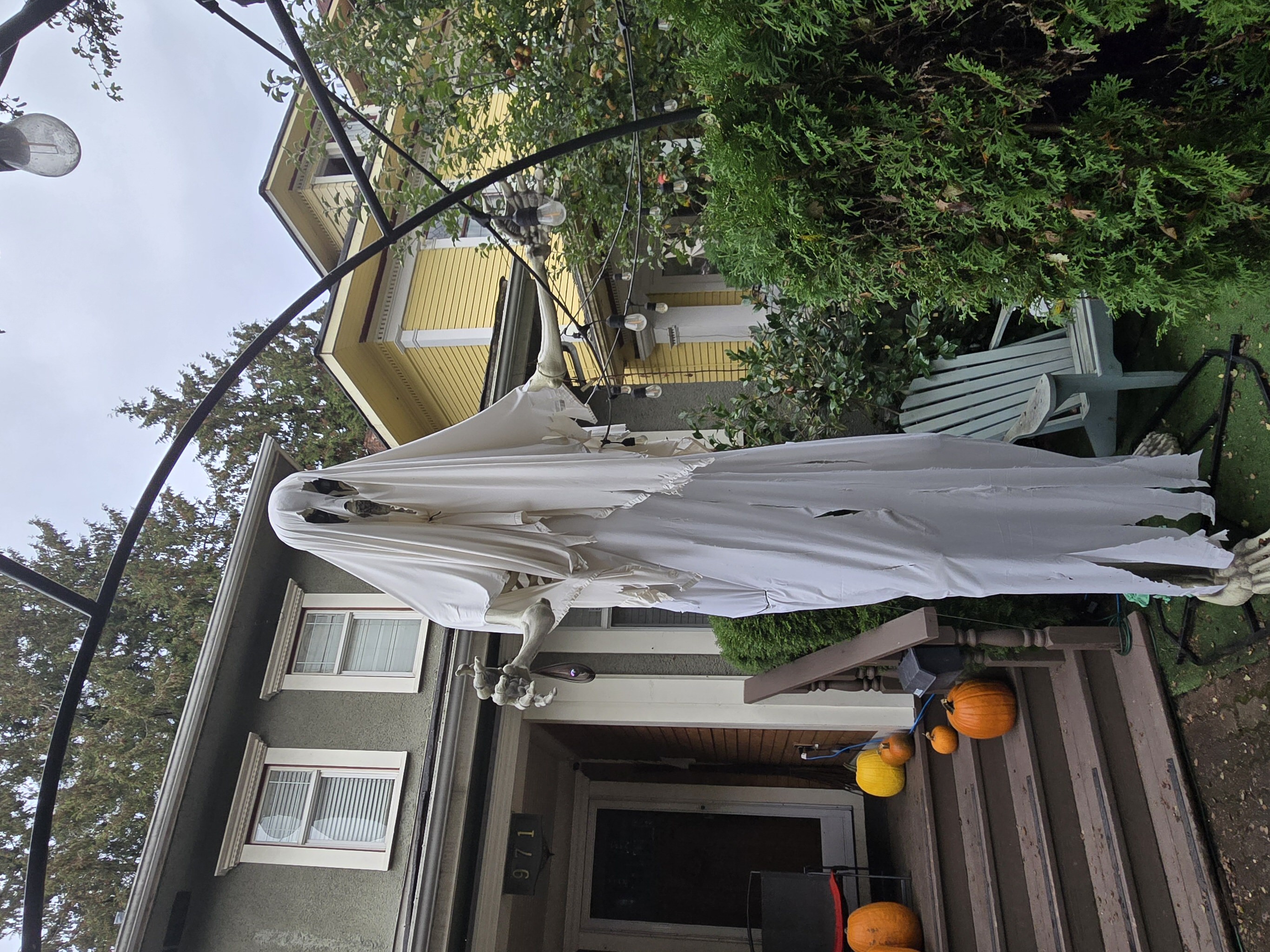 Spooky character props framing out the yard fences at 971 Nicola Street