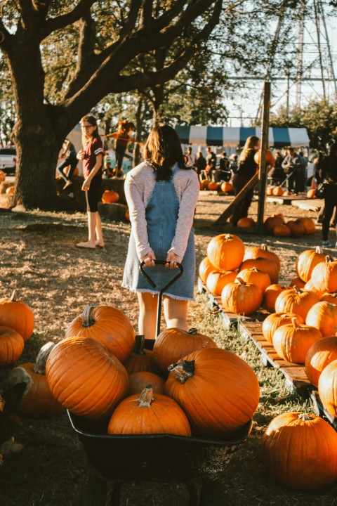 Illuminated carved pumpkins and jack-o-lantern blocks mapping out party fields